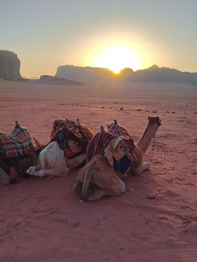 Moon City With The Beauty Of Nature Wadi Rum Exterior foto