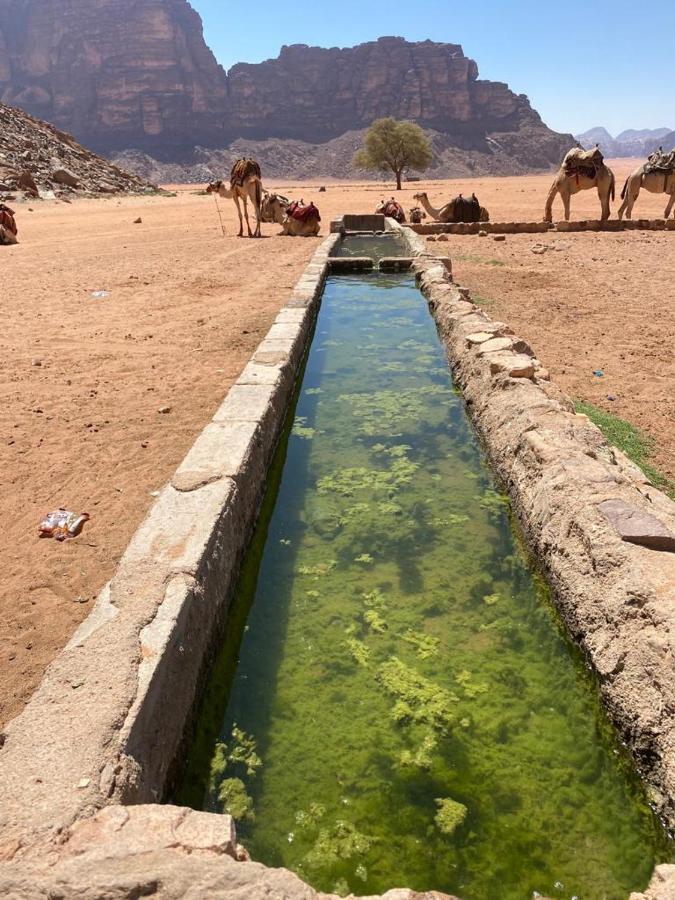 Moon City With The Beauty Of Nature Wadi Rum Exterior foto